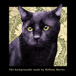 厚みのあるBIGシルエットTシャツ「Black cat」/送料無料 3枚目の画像