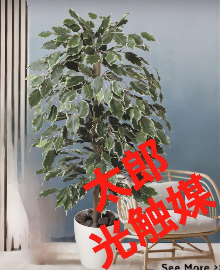 光触媒　人工観葉植物　ウォールグリーン　ゴールデンフィカス1.0 光触媒 人工観葉植物 ウォールグリーン ゴールデンフィカス1.0