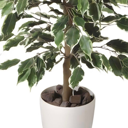 光触媒　人工観葉植物　ウォールグリーン　ゴールデンフィカス1.0 光触媒 人工観葉植物 ウォールグリーン ゴールデンフィカス1.0 その他