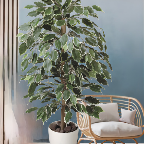 光触媒　人工観葉植物　ウォールグリーン　ゴールデンフィカス1.0 光触媒 人工観葉植物 ウォールグリーン ゴールデンフィカス1.0