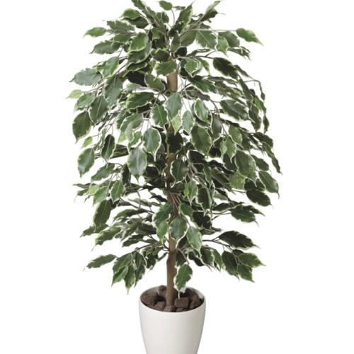 光触媒　人工観葉植物　ウォールグリーン　ゴールデンフィカス1.0 光触媒 人工観葉植物 ウォールグリーン ゴールデンフィカス1.0 その他