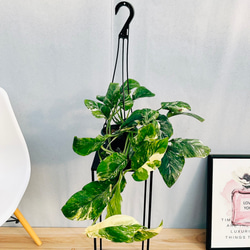 ac9d03b516e961857feb672139395b  