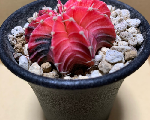 b53057f28b552867a151a19778d0f3