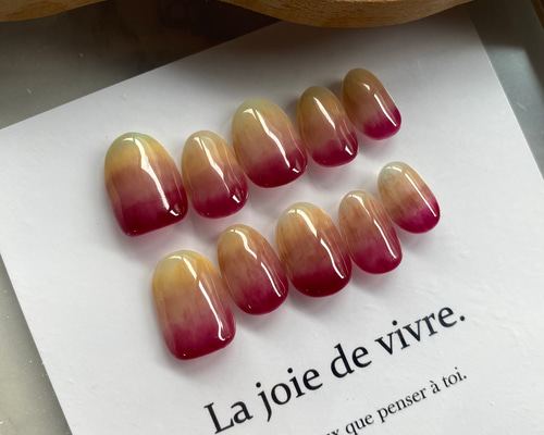 【サイズオーダー】 ネイルチップ サイズオーダー品】No.226 ネイルチップ（つけ爪） Hazuki 通販