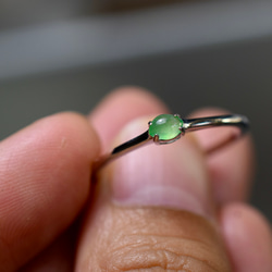 SR4-123 上品 宝石質 シルバー 氷種 若緑 本翡翠 リング ミャンマー産 フリーサイズ 指輪 金属アレルギー対応 6枚目の画像