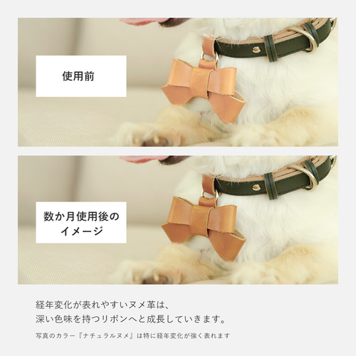 ルイヴィトン ドッグカラー 首輪 ヌメ革リボン 小型犬 ペット