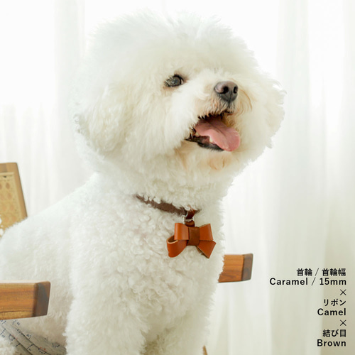 SusanLanci スーザンランシー ハーネス XS/S セレブ犬 アメリカ製 犬用