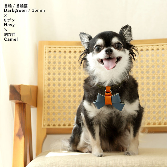 SusanLanciリボン付きリード 犬用 セレブ犬BiminiBlue 小型犬