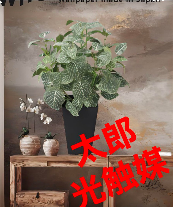 光触媒 人工観葉植物 ウォールグリーン フェイクグリーン フィットニア