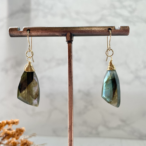 14kgfフォッシルコーラル・アンデシンラブラドライトピアス/イヤリング