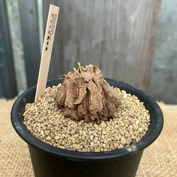 63979a235150e4ab657acafac1fb70