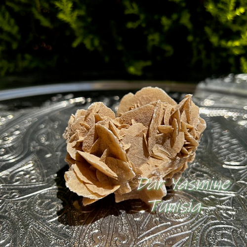 砂の結晶 砂漠の薔薇10個セット