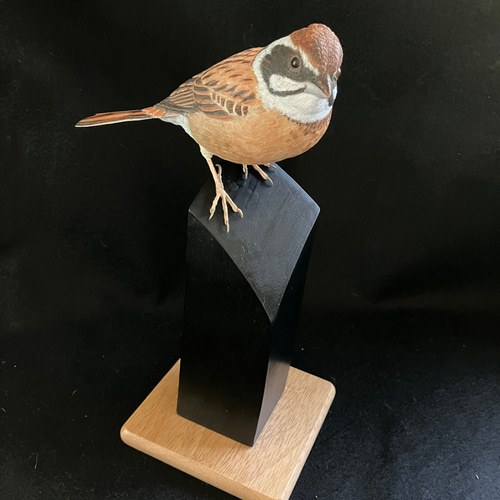 バードカービング　ホオジロ ホオジロ・バードカービング 彫刻 ありむら工房 通販 17696470
