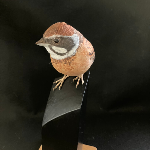 ホオジロ・バードカービング 彫刻 ありむら工房 通販 17696470｜Creema