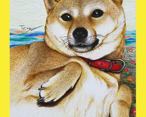 手描きイラスト　色鉛筆画　オーダー 手描きイラスト 色鉛筆画 オーダー商品 - メルカリ