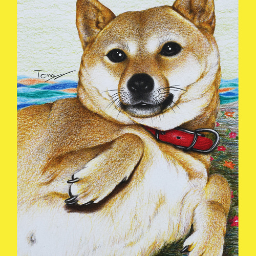 【予約販売】本 色鉛筆画 折り返せ ペット似顔絵 オーダー 受付用 筆記具