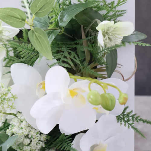 胡蝶蘭と観葉植物のアレンジメント 胡蝶蘭×グリーン ⭐︎3way壁掛けアレンジメント アートフラワー