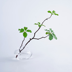  第9張的照片