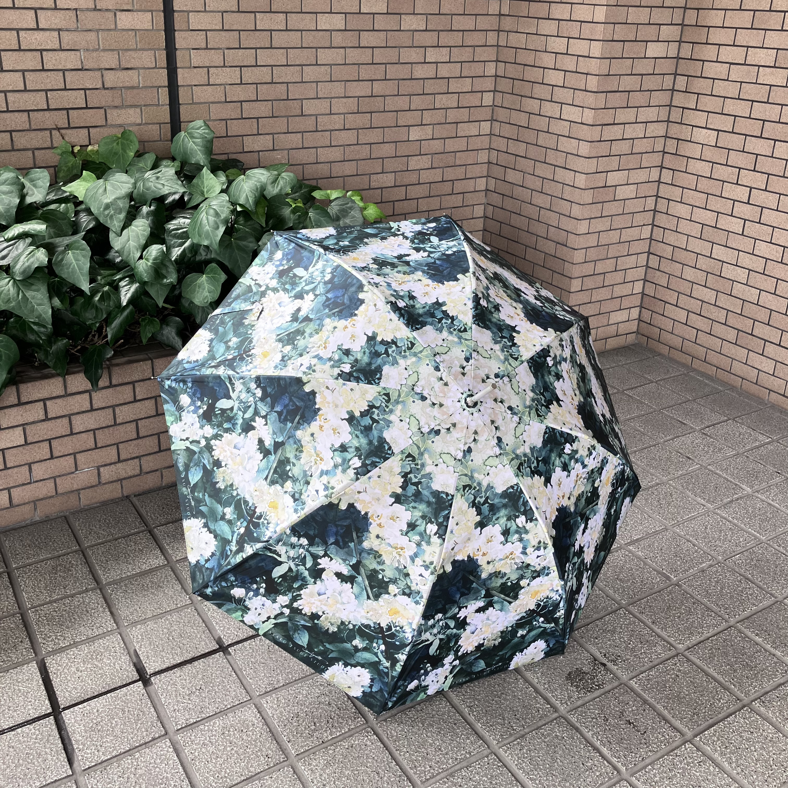 晴雨兼用傘　ジャンプ傘　 白いモッコウバラ