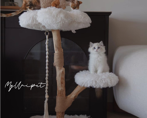 雲にのる】無垢材キャットタワー 北欧風 木製 天然木 猫用インテリア