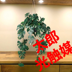 b38ce7410b5c1a53bcf7f11bf41534