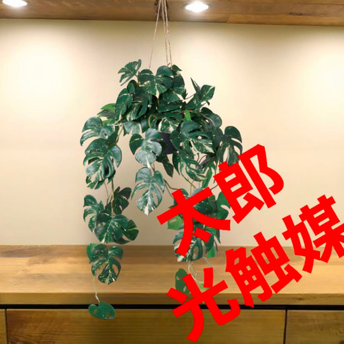 光触媒 人工観葉植物 ウォールグリーン フェイクグリーン 光触媒 人工観葉植物 ウォールグリーン フェイクグリーン