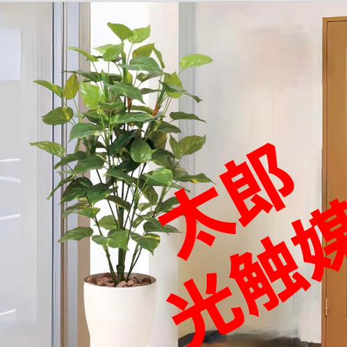 光触媒人工観葉植物ウォールグリーンフェイクグリーンライトトネリコ1.0