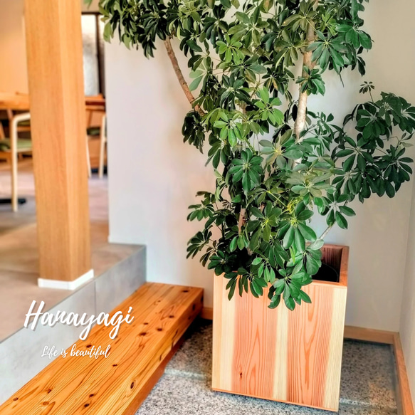 木製 プランターカバー（8~14号）】天然木 無垢材 植木鉢カバー