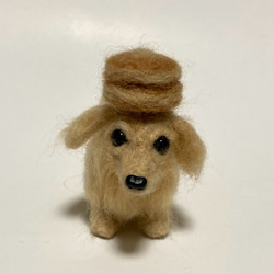 羊毛フェルト犬オーダー シェルティうちの子 見本品 羊毛