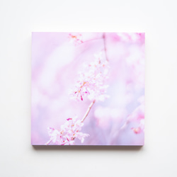 SQU4RE-スクエア-【春が霞む】新生活を彩るインテリアフォト 10枚目の画像