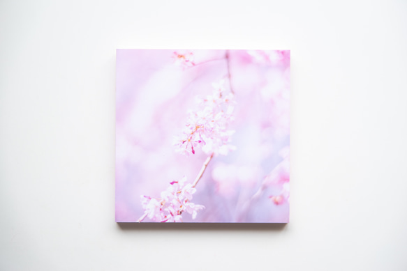 SQU4RE-スクエア-【春が霞む】新生活を彩るインテリアフォト 10枚目の画像