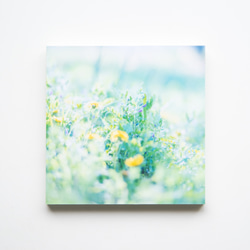 SQU4RE-スクエア-【春が霞む】新生活を彩るインテリアフォト 12枚目の画像