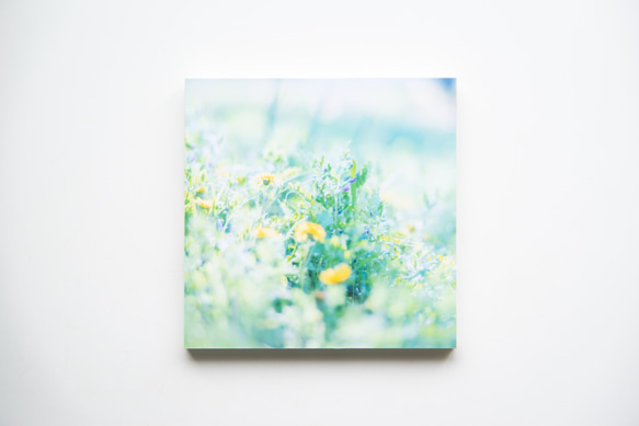 SQU4RE-スクエア-【春が霞む】新生活を彩るインテリアフォト 12枚目の画像