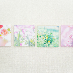 SQU4RE-スクエア-【春が霞む】新生活を彩るインテリアフォト 2枚目の画像