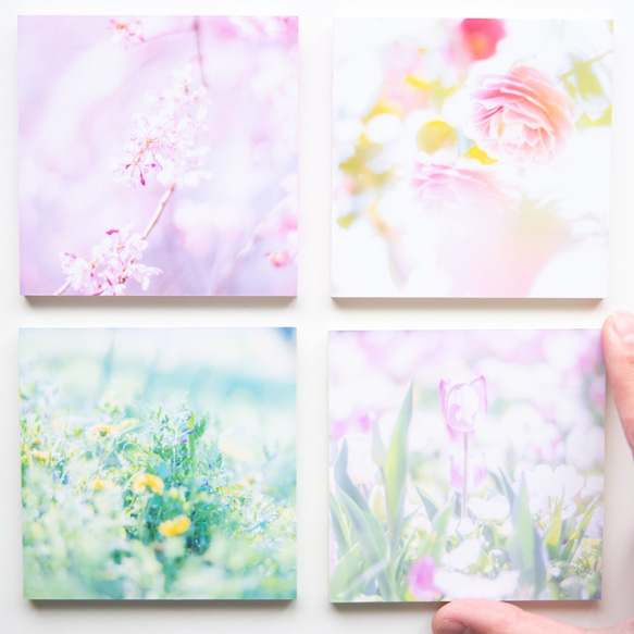 SQU4RE-スクエア-【春が霞む】新生活を彩るインテリアフォト 1枚目の画像