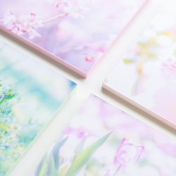 SQU4RE-スクエア-【春が霞む】新生活を彩るインテリアフォト 7枚目の画像