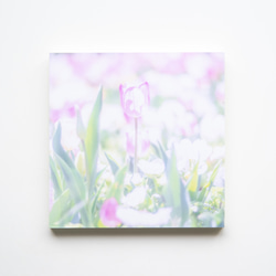 SQU4RE-スクエア-【春が霞む】新生活を彩るインテリアフォト 13枚目の画像