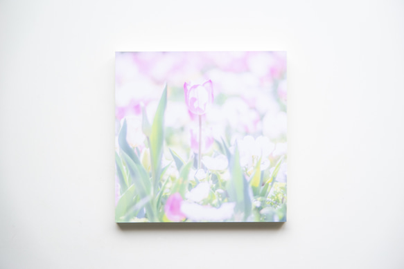 SQU4RE-スクエア-【春が霞む】新生活を彩るインテリアフォト 13枚目の画像