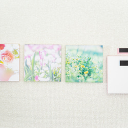 SQU4RE-スクエア-【春が霞む】新生活を彩るインテリアフォト 8枚目の画像