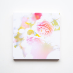 SQU4RE-スクエア-【春が霞む】新生活を彩るインテリアフォト 11枚目の画像