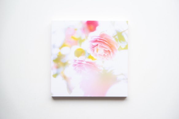 SQU4RE-スクエア-【春が霞む】新生活を彩るインテリアフォト 11枚目の画像