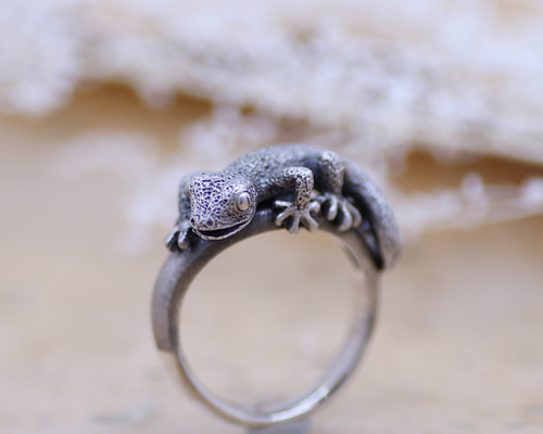 4633a10e4bbcd167108ce92ee08630