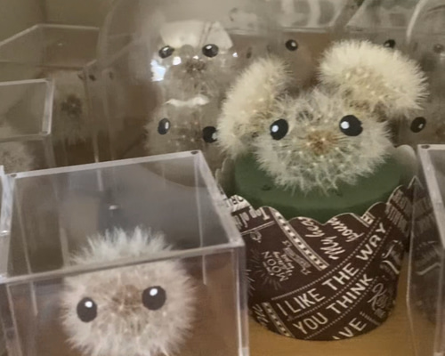 たんぽぽ様 リクエスト 2点 まとめ商品 たんぽぽ様 リクエスト 2点