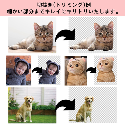 ⭐︎オーダーメイド⭐︎うちの子グッズ オーダーメイド“うちの子グッズ