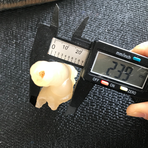 1257 バンブーアゲート 原石 その他置物 KIKI 通販 17702398 1257 バンブーアゲート 原石 その他置物 KIKI 通販 17702398