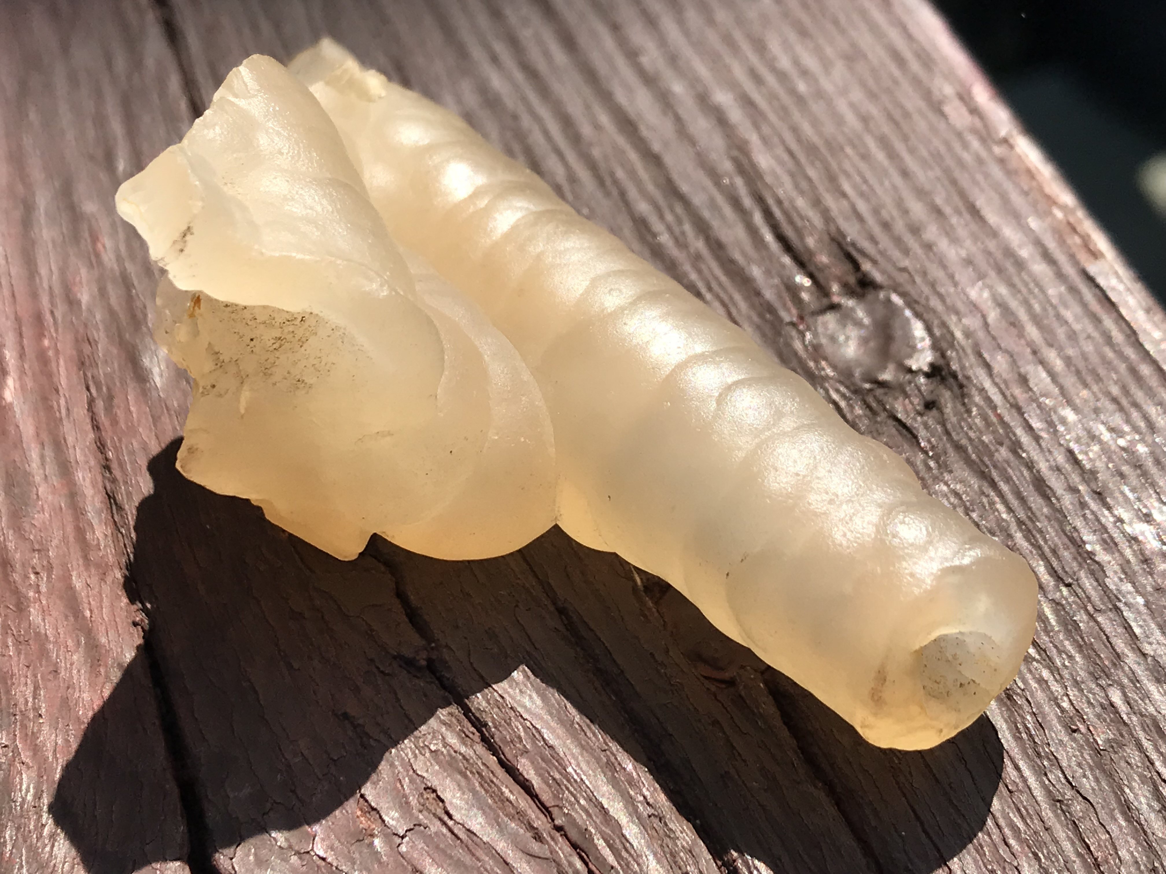 1257 バンブーアゲート 原石