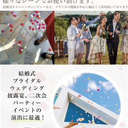 選べる6色！ オーガンジー＆サテン フラワーシャワー 約12g 約90～100枚 ラウンド 丸 ウェディング 17枚目の画像