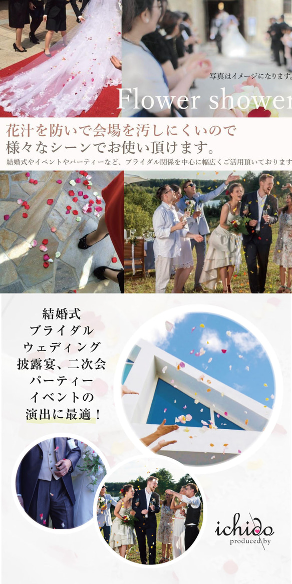 選べる6色！ オーガンジー＆サテン フラワーシャワー 約12g 約90～100枚 ラウンド 丸 ウェディング 17枚目の画像