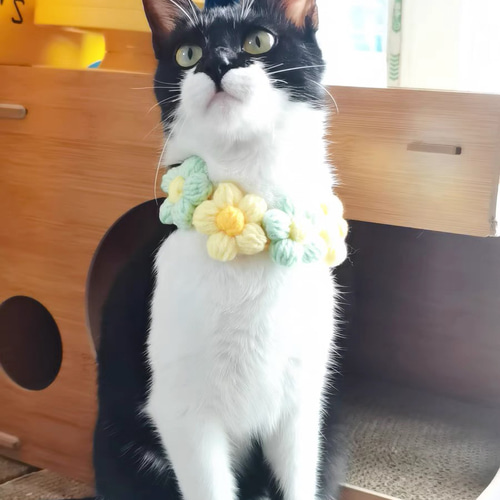 コットン首輪 春の花 猫＆小型犬＆中型犬向きの首輪 Sサイズ リード