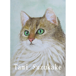 水彩画原画「グリーンアイの猫」 絵画 tami suzukake 通販 17703768